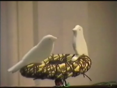 Birds of the air nest in the tree grown from the mustard seed